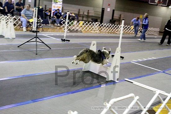 MCRD Unplugged Flyball Tournement<br />March 20th, 2010