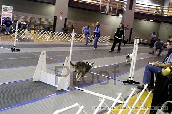 MCRD Unplugged Flyball Tournement<br />March 20th, 2010