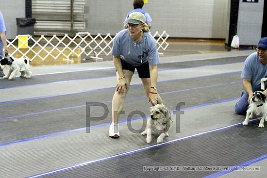 MCRD Unplugged Flyball Tournement<br />March 20th, 2010