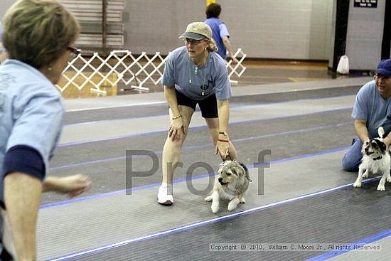 MCRD Unplugged Flyball Tournement<br />March 20th, 2010