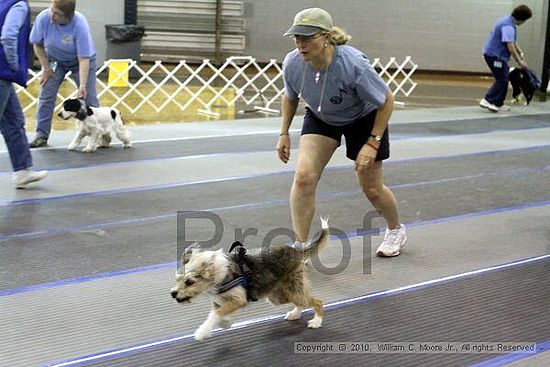 MCRD Unplugged Flyball Tournement<br />March 20th, 2010