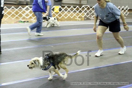 MCRD Unplugged Flyball Tournement<br />March 20th, 2010