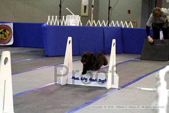 MCRD Unplugged Flyball Tournement<br />March 21st, 2010