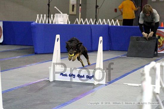 MCRD Unplugged Flyball Tournement<br />March 21st, 2010