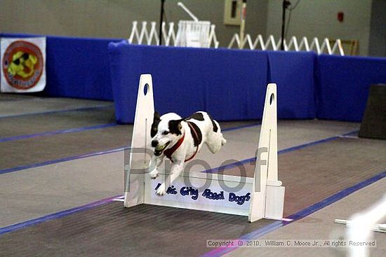 MCRD Unplugged Flyball Tournement<br />March 21st, 2010