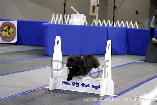 MCRD Unplugged Flyball Tournement<br />March 21st, 2010