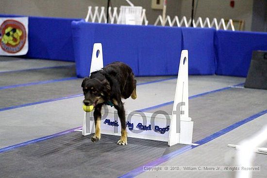 MCRD Unplugged Flyball Tournement<br />March 21st, 2010