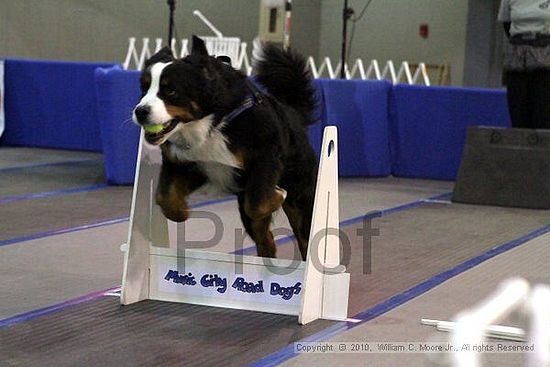 MCRD Unplugged Flyball Tournement<br />March 21st, 2010