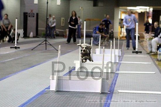 MCRD Unplugged Flyball Tournement<br />March 21st, 2010