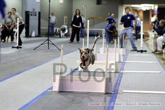 MCRD Unplugged Flyball Tournement<br />March 21st, 2010