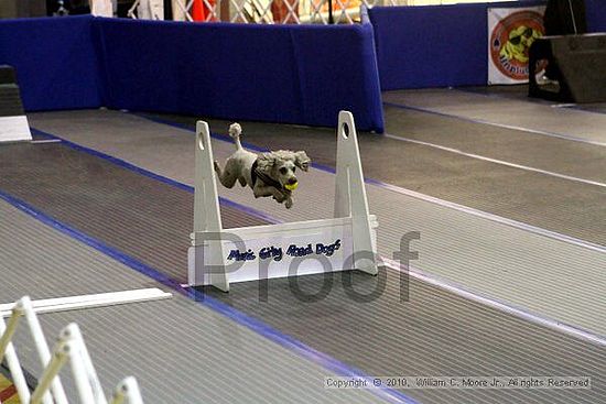 MCRD Unplugged Flyball Tournement<br />March 21st, 2010