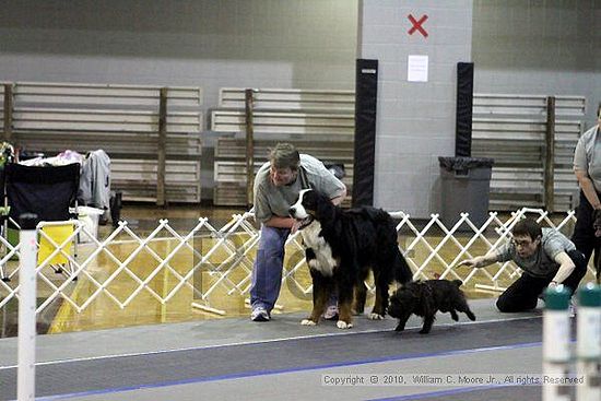 MCRD Unplugged Flyball Tournement<br />March 21st, 2010