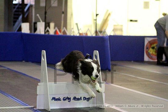 MCRD Unplugged Flyball Tournement<br />March 21st, 2010