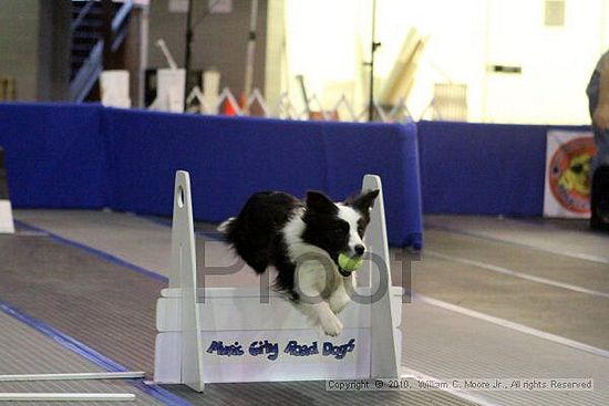 MCRD Unplugged Flyball Tournement<br />March 21st, 2010