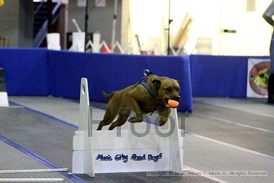 MCRD Unplugged Flyball Tournement<br />March 21st, 2010