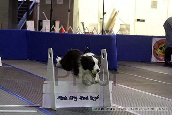 MCRD Unplugged Flyball Tournement<br />March 21st, 2010