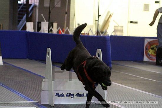 MCRD Unplugged Flyball Tournement<br />March 21st, 2010