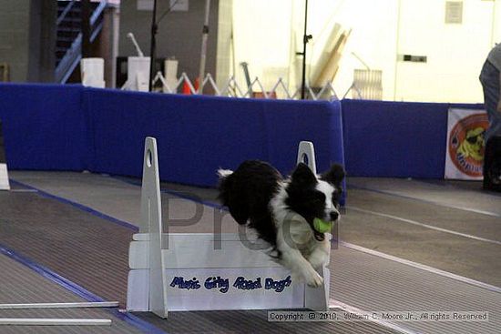 MCRD Unplugged Flyball Tournement<br />March 21st, 2010