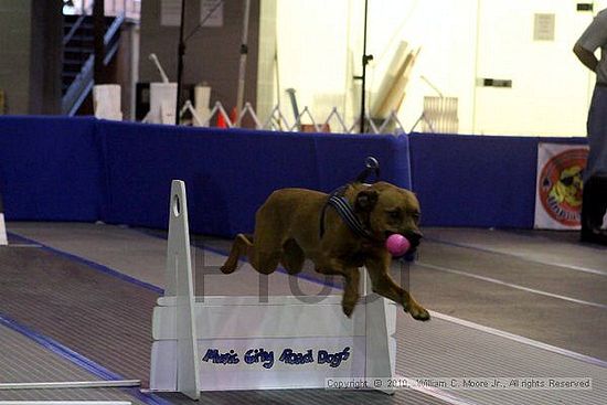 MCRD Unplugged Flyball Tournement<br />March 21st, 2010