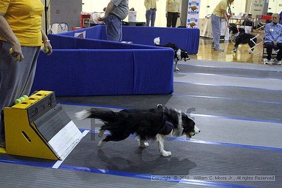 MCRD Unplugged Flyball Tournement<br />March 21st, 2010