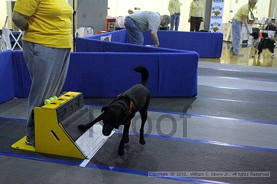 MCRD Unplugged Flyball Tournement<br />March 21st, 2010