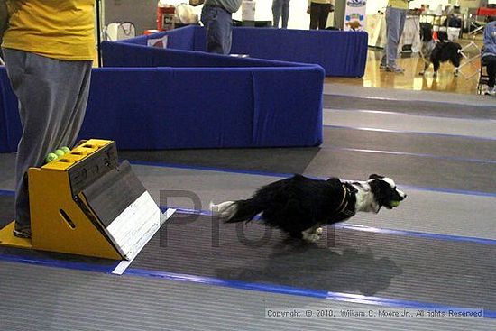 MCRD Unplugged Flyball Tournement<br />March 21st, 2010