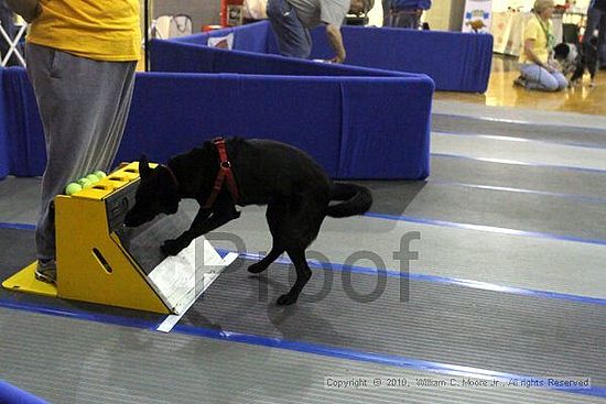 MCRD Unplugged Flyball Tournement<br />March 21st, 2010