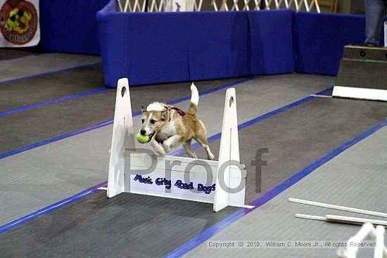 MCRD Unplugged Flyball Tournement<br />March 21st, 2010