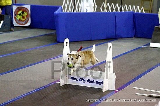 MCRD Unplugged Flyball Tournement<br />March 21st, 2010