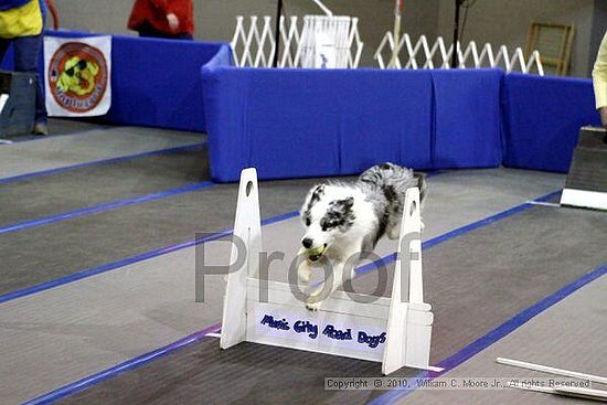 MCRD Unplugged Flyball Tournement<br />March 21st, 2010