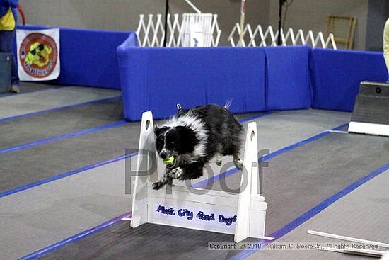 MCRD Unplugged Flyball Tournement<br />March 21st, 2010