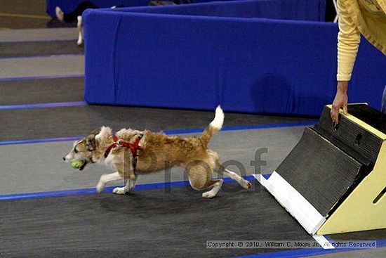 MCRD Unplugged Flyball Tournement<br />March 21st, 2010