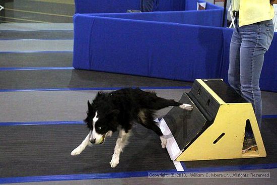 MCRD Unplugged Flyball Tournement<br />March 21st, 2010