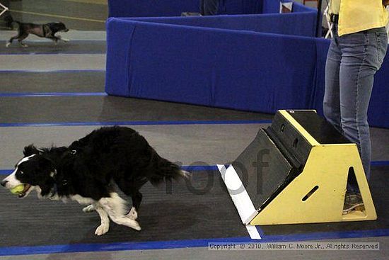 MCRD Unplugged Flyball Tournement<br />March 21st, 2010