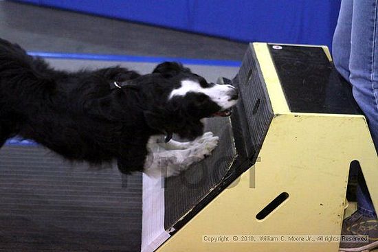 MCRD Unplugged Flyball Tournement<br />March 21st, 2010