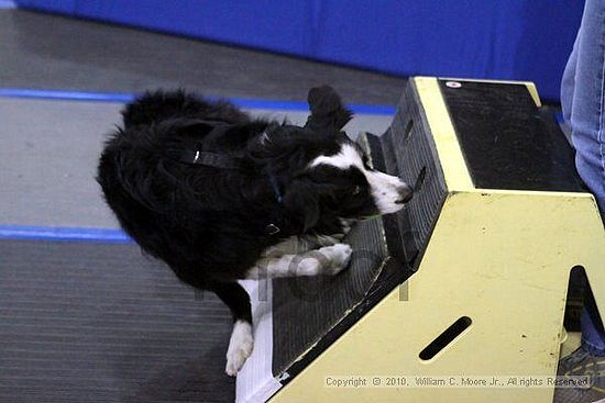 MCRD Unplugged Flyball Tournement<br />March 21st, 2010