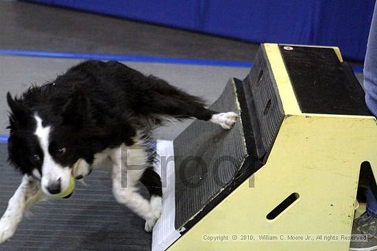 MCRD Unplugged Flyball Tournement<br />March 21st, 2010