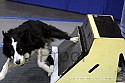 img_2893_thm.jpg