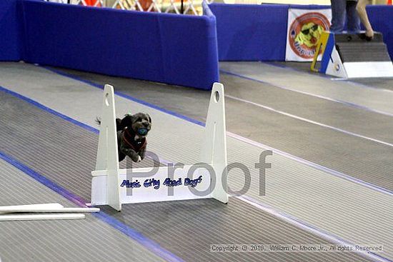 MCRD Unplugged Flyball Tournement<br />March 21st, 2010