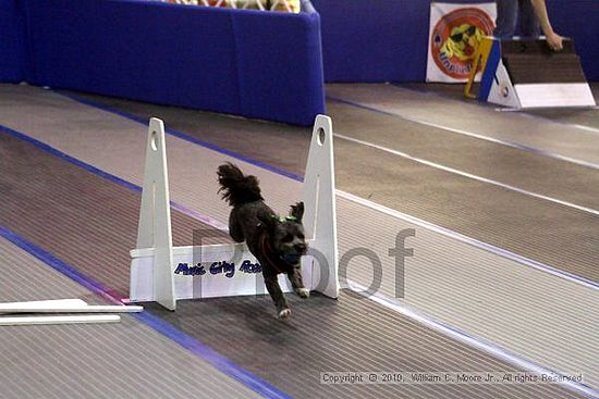 MCRD Unplugged Flyball Tournement<br />March 21st, 2010