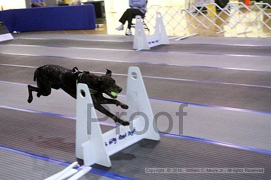 MCRD Unplugged Flyball Tournement<br />March 21st, 2010