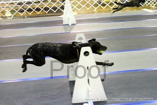 MCRD Unplugged Flyball Tournement<br />March 21st, 2010