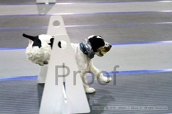 MCRD Unplugged Flyball Tournement<br />March 21st, 2010