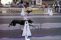 img_2930_thm.jpg
