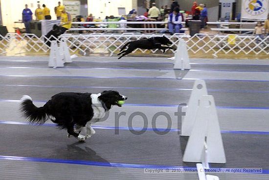 MCRD Unplugged Flyball Tournement<br />March 21st, 2010