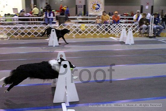 MCRD Unplugged Flyball Tournement<br />March 21st, 2010