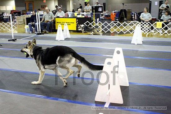 MCRD Unplugged Flyball Tournement<br />March 21st, 2010