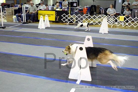 MCRD Unplugged Flyball Tournement<br />March 21st, 2010