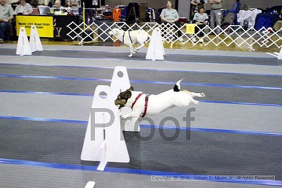 MCRD Unplugged Flyball Tournement<br />March 21st, 2010