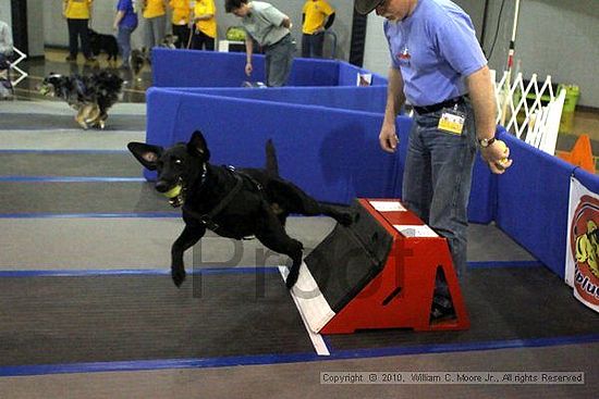 MCRD Unplugged Flyball Tournement<br />March 21st, 2010